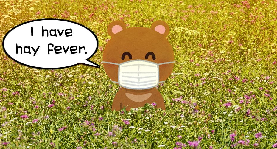群馬県前橋市　英会話教室　コーンウォール・イングリッシュ　Cornwall English　役立つ英会話　I have hay fever.　花粉症