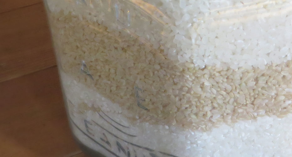 brown rice white rice 50% polished rice 玄米　白米　分づき米
