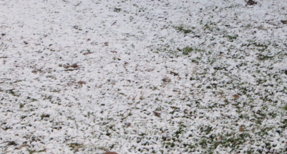 It snowed last night. It's snowing. It's going to snow.前橋英会話教室　コーンウォール・イングリッシュ Cornwall English　英会話使える表現