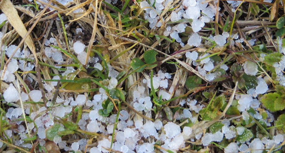 群馬県前橋市　英会話教室　コーンウォール・イングリッシュ　Cornwall English　ブログ　役立つ英会話　hail