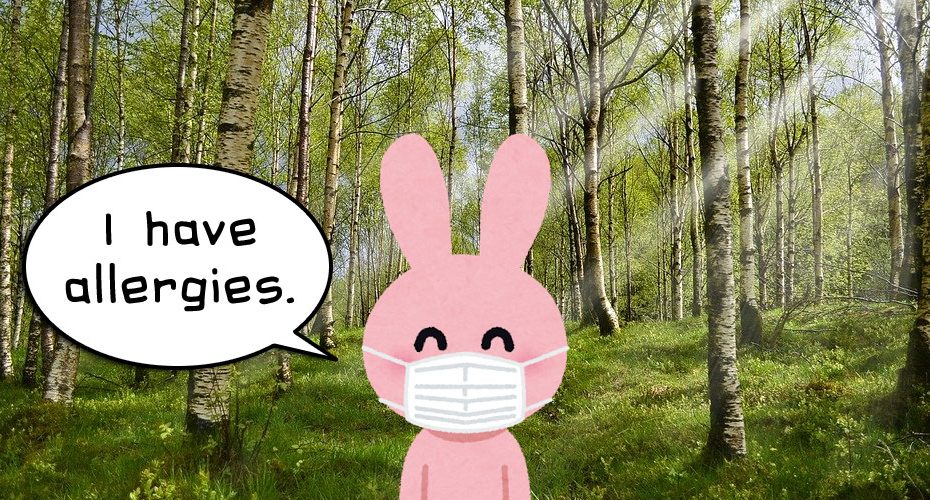 群馬県前橋市　英会話教室　コーンウォール・イングリッシュ　Cornwall English　役立つ英会話　I have allergies.　花粉症