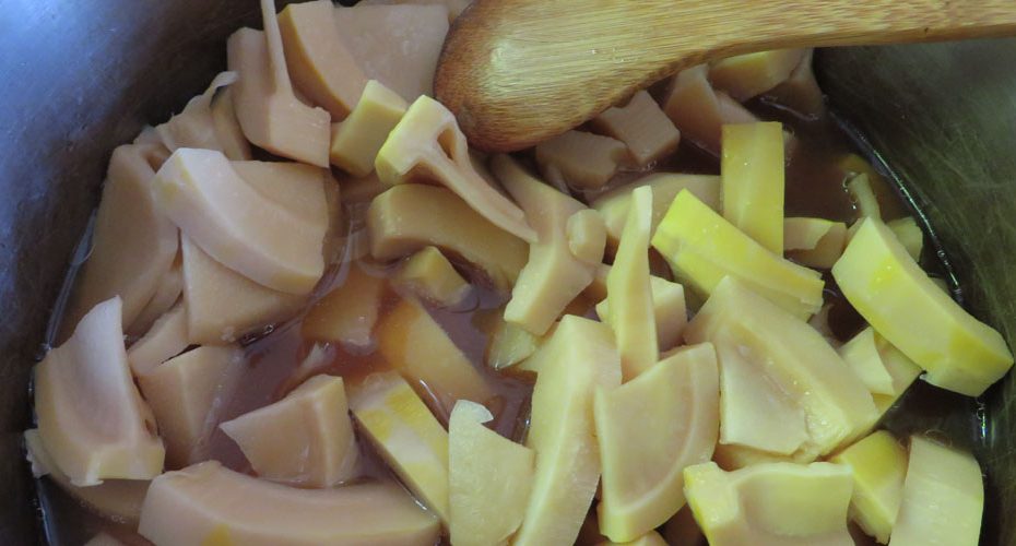 群馬県前橋市　英会話教室　コーンウォール・イングリッシュ　Cornwall English　役立つ英会話　Bamboo shoots　たけのこ