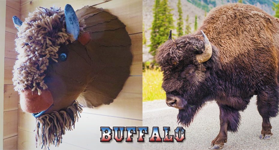 DIY buffalo and real buffalo