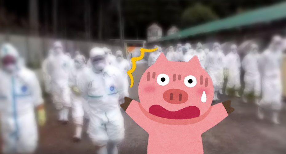Gunma CSF Classical swine fever