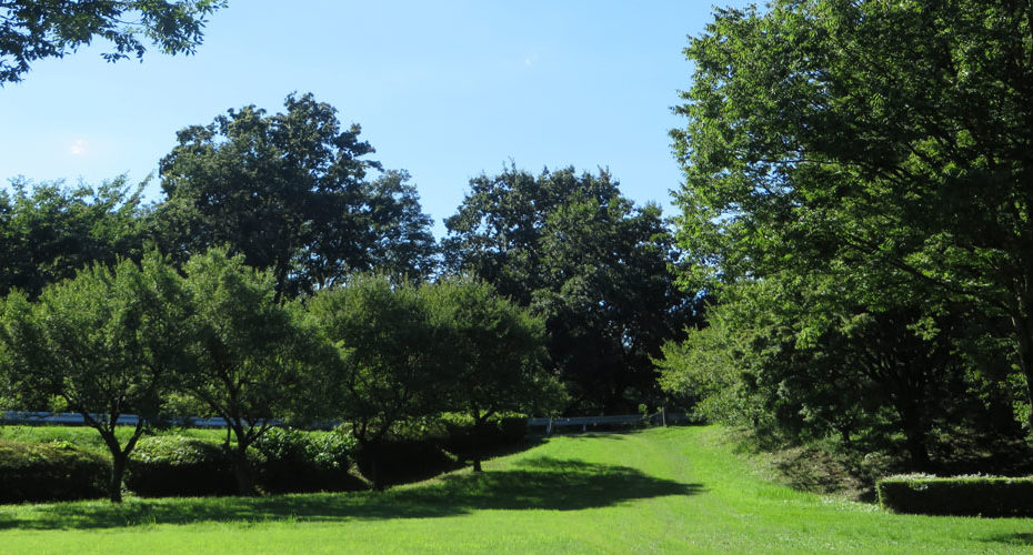 park September 前橋　英会話教室　Cornwall English コーンウォール・イングリッシュ　使える英会話表現　オンラインレッスン