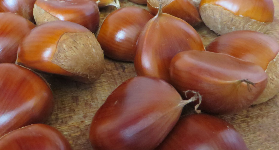 chestnuts 栗　天津甘栗　sweet roasted chestnuts オンライン 朝活　エリック先生　前橋　英会話　Cornwall English 　イングリッシュカフェ　子育て