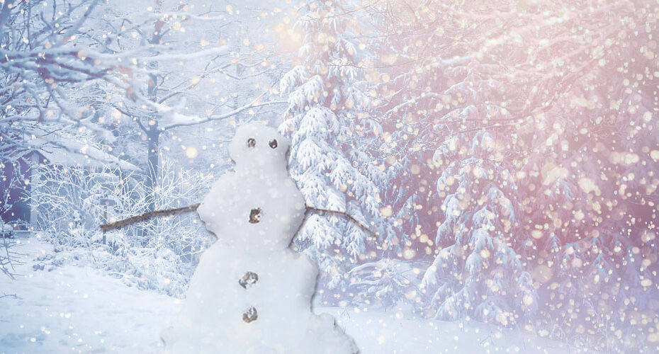 雪が降った　英語　It snowed. It snowed a little. It snowed a lot. 前橋　エリック　英会話　フレーズ　コーンウォール・イングリッシュ　キャンプ・コーンウォール