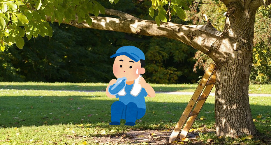 熱中症　heat exhaustion　heat stroke　I think I had heat exhaustion.　Drink plenty of water! Stay out of the sun. Stay in the shade.　Miwa　英語　表現　英会話　 It's hot!　Take care!