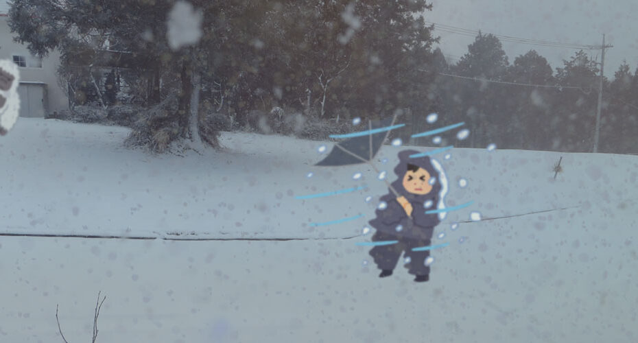 snowy day Maebashi Gunma Cornwall English コーンウォール・イングリッシュ　前橋　