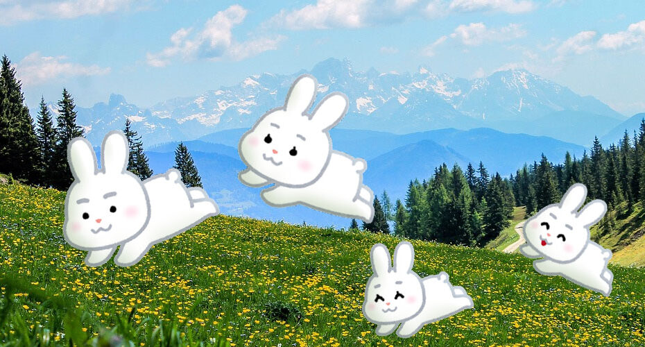 群馬県　前橋　英会話教室　英語　英検　1級　TOEIC満点　高校受験　コーンウォール・イングリッシュ　うるう年　Leap Year Leap Day うるう日　オンライン　教室