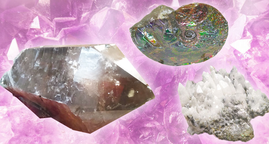 前橋　英語　英会話　レッスン　エリック　Miwa　英検　TOEIC　おススメ　群馬県立自然史博物館 Gunma Museum of Natural History 紳士・淑女のための鉱物展 Mineral Exhibition for Ladies and Gentlemen