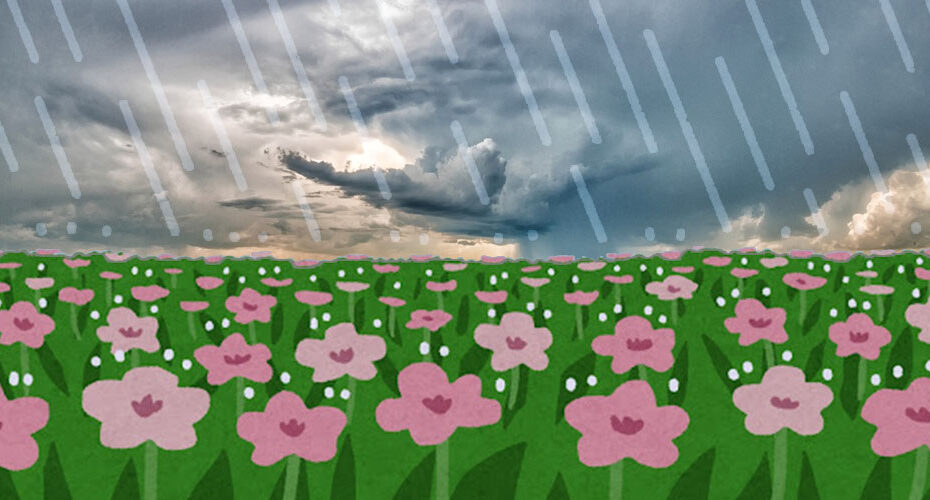 梅雨　rainy season　雨が降ってる　It's raining.　前橋　エリック　英語　英会話　オンライン　レッスン　Miwa　1級　合格　TOEIC　990　満点 コーンウォール・イングリッシュ