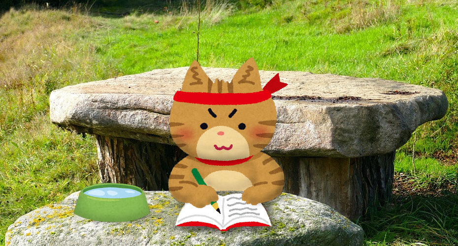 国内週末留学体験　高校入試　英検対策　群馬　前橋　英語　英会話教室　コーンウォール・イングリッシュ　英検1級　TOEIC990満点　Miwa　英検IBA　学校　2か月　中学生　高校生　教育委員会　英語で　board of education