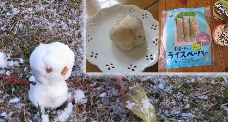 国内週末留学体験　高校入試　英検対策　群馬　前橋　英語　英会話教室　コーンウォール・イングリッシュ　英検1級　TOEIC990満点　Miwa　便利　おススメ　ブログ　初雪　first snow 大喜び　delighted Yukimi Daifuku 雪見だいふく　ライスペーパー　rice paper It's snowing. It snowed last night.　花見