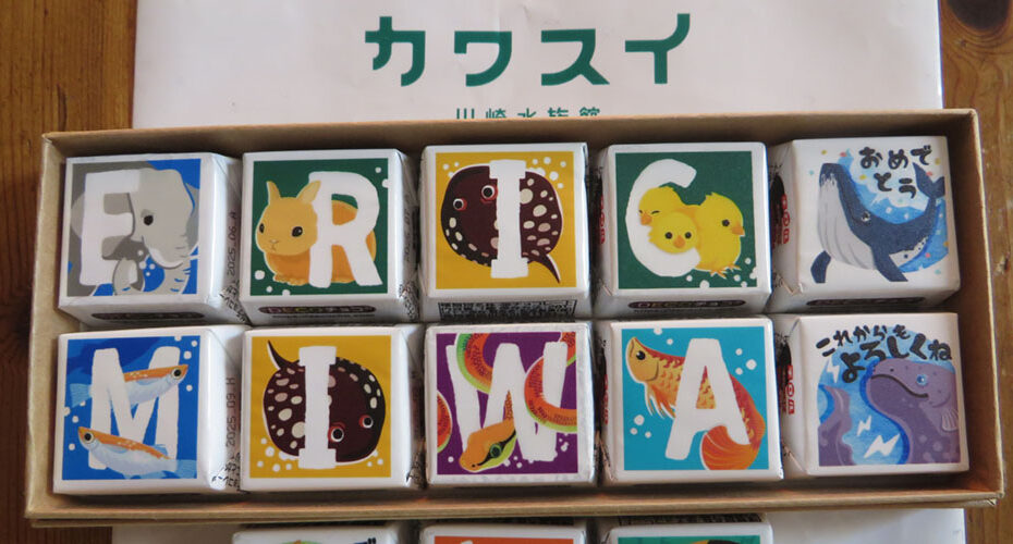 国内週末留学体験　高校入試　英検対策　群馬　前橋　高崎　渋川市　吉岡町　伊勢崎市　太田市　東京都　神奈川県　英語　英会話スクール　コーンウォール・イングリッシュ　英検1級　TOEIC990満点　Miwa　アメリカ　山火事　お土産　水族館　釣り　川崎水族館　カワスイ　チョコレート　fishing souvenir aquarium 冬休み　winter break