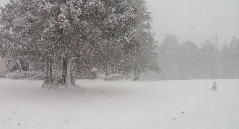 国内週末留学体験　高校入試　英検対策　群馬　前橋　高崎　渋川市　吉岡町　伊勢崎市　太田市　東京都　神奈川県　英語　英会話スクール　コーンウォール・イングリッシュ　英検1級　TOEIC990満点　Miwa　推薦入試　受験　第一志望　合格　雪 snow　風邪　I had a cold　のどの痛み　a sore throat