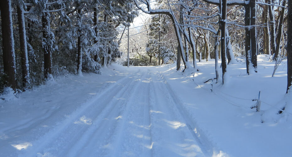 国内週末留学体験　高校入試　英検対策　群馬　前橋　高崎　渋川市　吉岡町　伊勢崎市　太田市　東京都　神奈川県　英語　英会話スクール　コーンウォール・イングリッシュ　英検1級　TOEIC990満点　Miwa　除雪車　snowplow We had over 30 centimeters of snow. 雪かき　We shoveled the road.