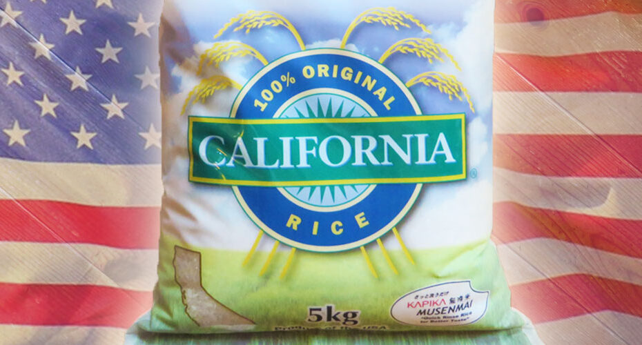 国内週末留学体験　高校入試　英検対策　群馬　前橋　高崎　渋川市　吉岡町　伊勢崎市　太田市　東京都　神奈川県　千葉　英語　英会話スクール　コーンウォール・イングリッシュ　英検1級　TOEIC990満点　Miwa　米　値段　いつ下がる　高い　備蓄米　コストコ　カルローズ米　カリフォルニア米　味　無洗米　日本　価格高騰