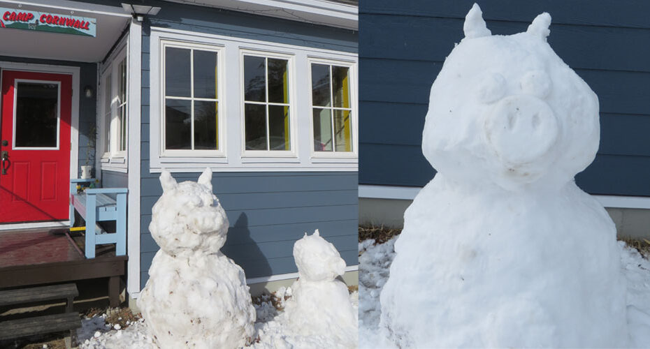 みわ　英検1級　群馬県前橋市　TOEIC満点　英会話スクール　英語塾　個別指導　Cornwall English　コーンウォール・イングリッシュ　オンライン　大人　学び直し　高校入試　受験　中学3年　雪降った　雪かき　除雪車　英語　苦手　文章問題　建国記念日　